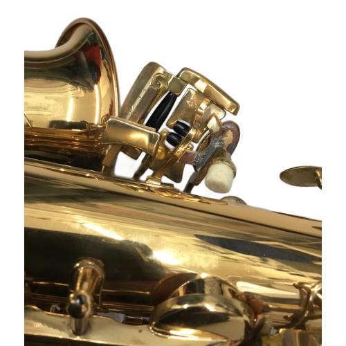 Kaerntner (ケルントナー) サックス