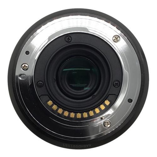 Panasonic (パナソニック) ズームレンズ H-FS45150 LUMIX