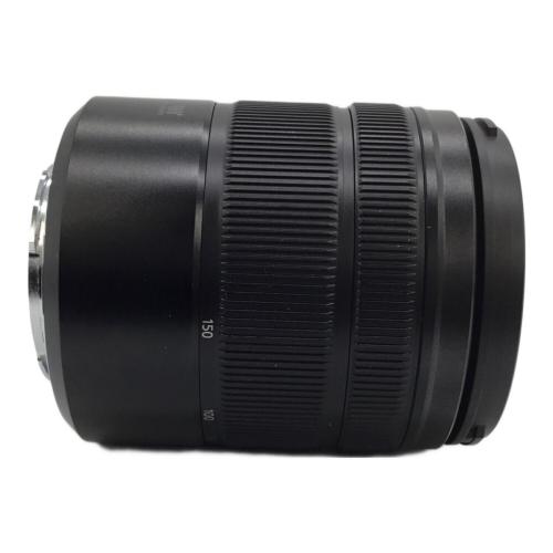 Panasonic (パナソニック) ズームレンズ H-FS45150 LUMIX
