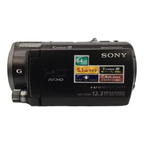 SONY (ソニー) デジタルビデオカメラ HDR-CX560V 2011年製 614万画素