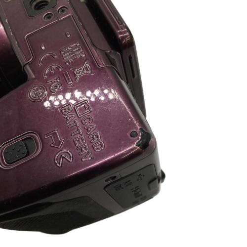 Nikon (ニコン) コンパクトデジタルカメラ COOLPIX B500