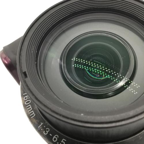 Nikon (ニコン) コンパクトデジタルカメラ COOLPIX B500