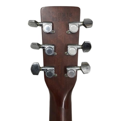 MORRIS (モーリス) アコースティックギター W-40 縦ロゴ