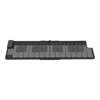 KORG (コルグ) nanoKEY Fold MIDIキーボード