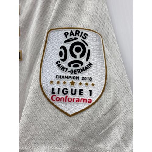NIKE (ナイキ) ゲームシャツ 919011-073 パリ・サンジェルマン 18/19 アウェイユニフォーム エンバペ メンズ SIZE L グレー