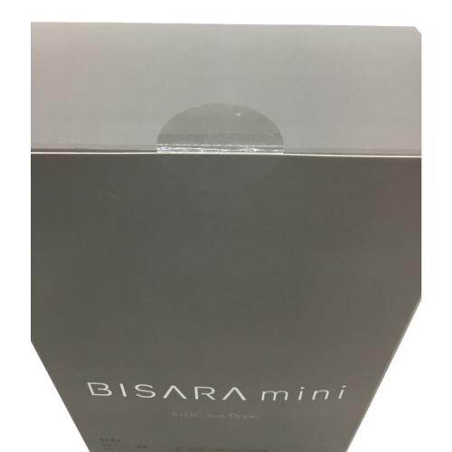 QUADS (クワッズ) BISARA mini BLDCイオンドライヤー BSR005 グレー