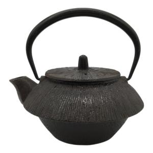 盛栄堂 (セイエイドウ) 急須 南部鉄器
