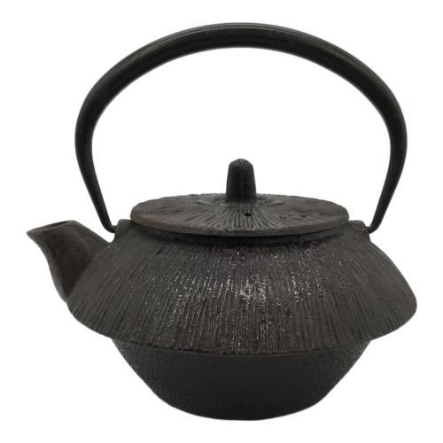 盛栄堂 (セイエイドウ) 急須 南部鉄器
