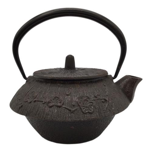 盛栄堂 (セイエイドウ) 急須 南部鉄器