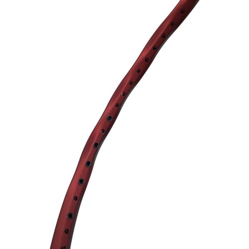 GOSEN (ゴーセン) インフェルノ レイド バドミントンラケット 4U BRIFRD