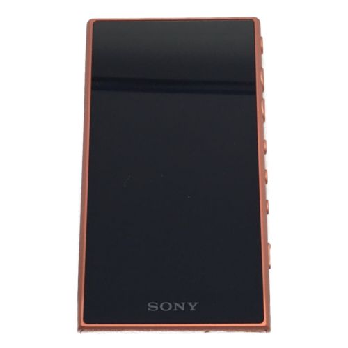 SONY (ソニー) WALKMAN 16GB NW-A105 -