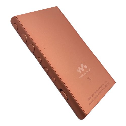 SONY (ソニー) WALKMAN 16GB NW-A105 -