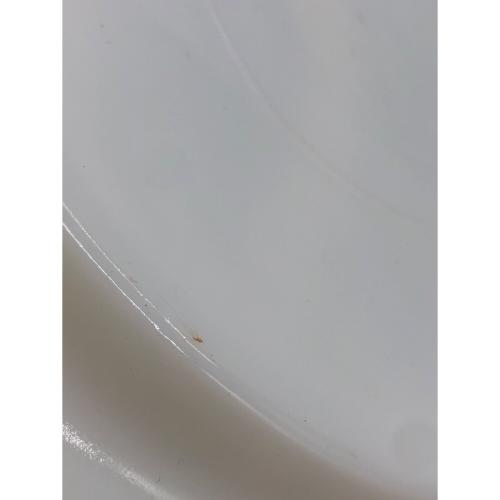 Fire King (ファイヤーキング) 3コンパートメントプレート ホワイト