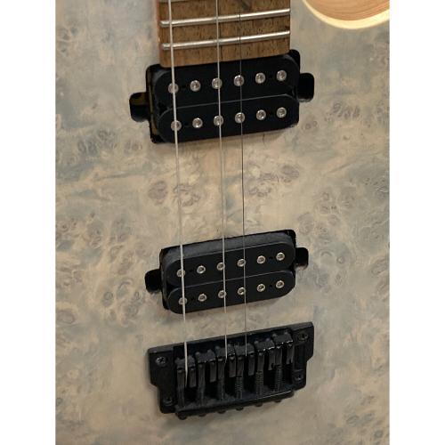 IBANEZ (アイバニーズ) エレクトリックギター RGシリーズ RGR621XPB ポーラルシーホワイト エレキギター