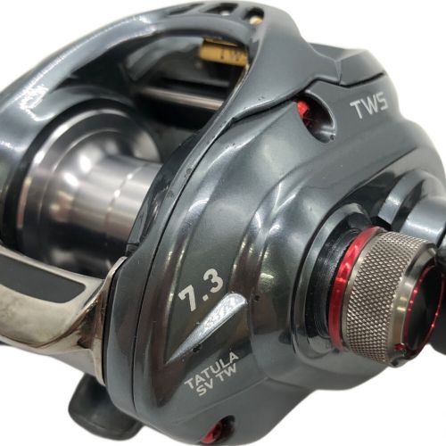 DAIWA (ダイワ) リール タトゥーラ TWS 7.3 ベイトリール