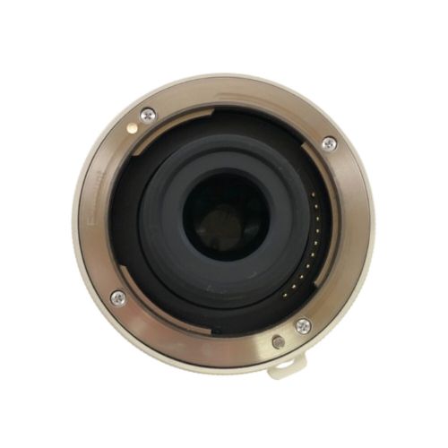 SONY (ソニー) テレコンバーター 2X Teleconverter SEL20TC