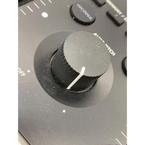 ROLAND (ローランド) VOICE TRANSFORMER VT-4