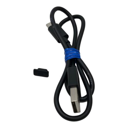 SONY (ソニー) WALKMAN 32GB NW-A306 ■