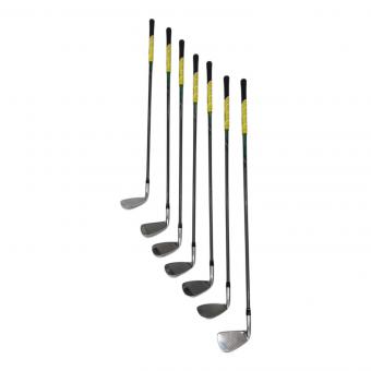 Callaway (キャロウェイ) アイアンセット 2010年モデル LEGACY V FORGET フレックス【R】 7本セット(6/7/8/9/PW/AW/SW)