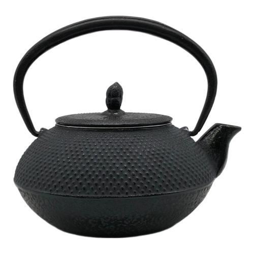 南部鉄器 (ナンブテッキ) 急須 アラレ