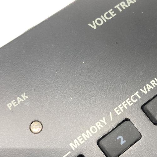 ROLAND (ローランド) VOICE TRQANSFORMER VT-4