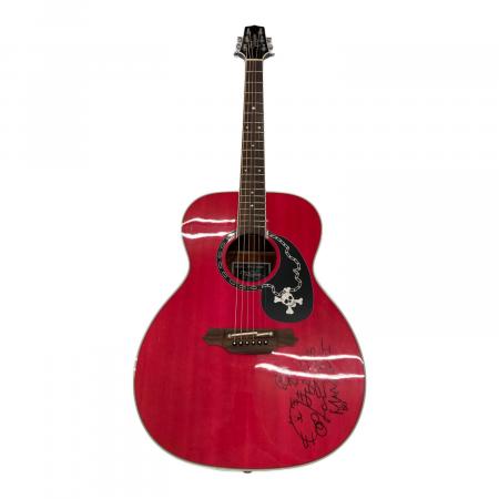 Takamine (タカミネ) エレアコギター skull#7tp｜トレファクONLINE