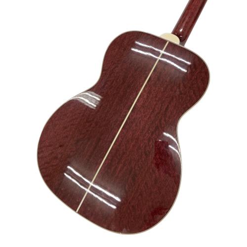 Takamine (タカミネ) エレアコギター skull#7tp