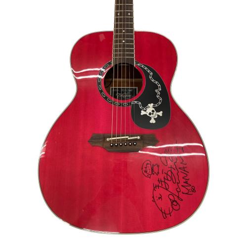 Takamine (タカミネ) エレアコギター skull#7tp