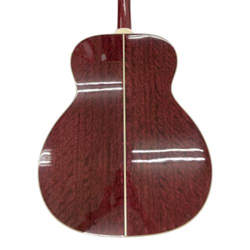 Takamine (タカミネ) エレアコギター skull#7tp