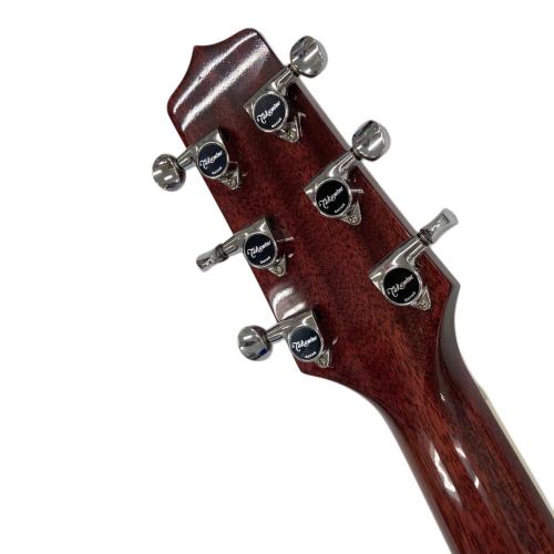 Takamine (タカミネ) エレアコギター skull#7tp