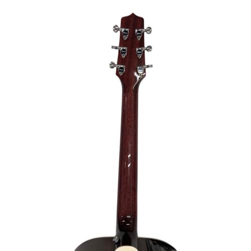 Takamine (タカミネ) エレアコギター skull#7tp