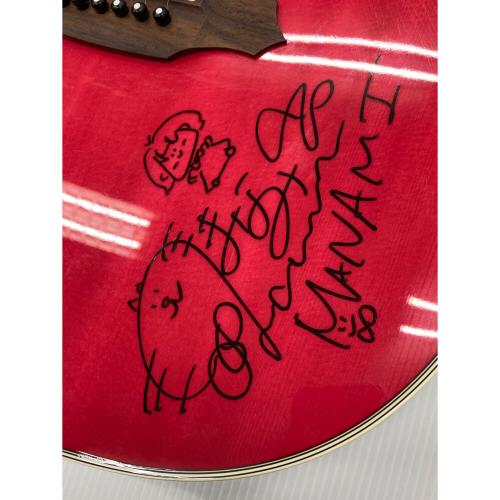 Takamine (タカミネ) エレアコギター skull#7tp