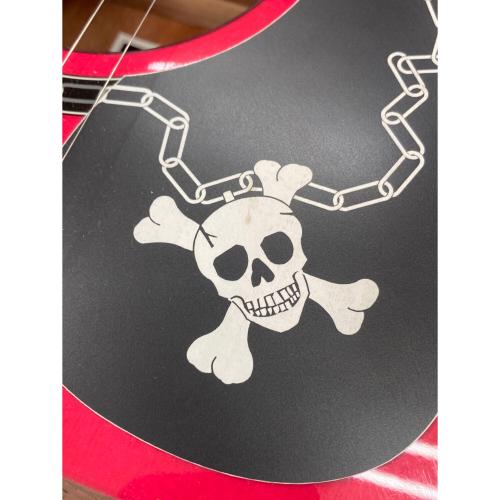 Takamine (タカミネ) エレアコギター skull#7tp