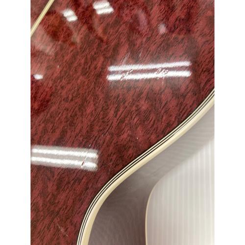 Takamine (タカミネ) エレアコギター skull#7tp