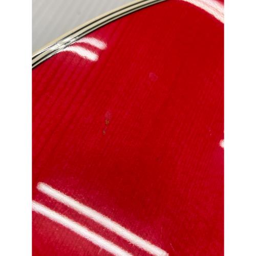 Takamine (タカミネ) エレアコギター skull#7tp