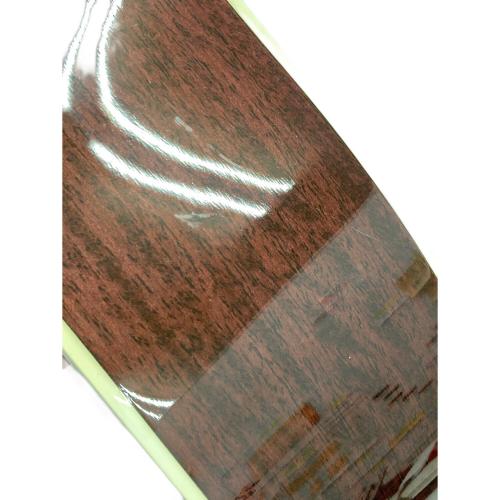 Takamine (タカミネ) エレアコギター skull#7tp