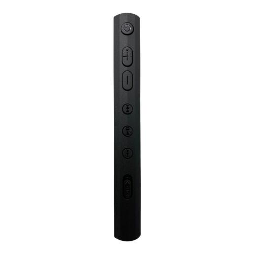 SONY (ソニー) WALKMAN NW-A307