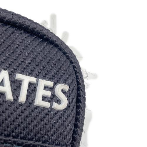 PEARLY GATES (パーリーゲイツ) ボールポーチ　053-2984201 ネイビー