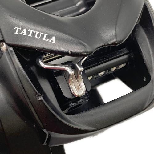 リール 24TATULA  TW100