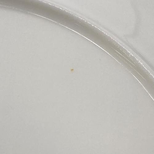 ROYAL DOULTON (ロイヤルドルトン) プレートセット カーライル