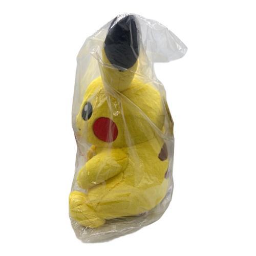ポケモン ピカチュウ(メスのすがた) ラストワン賞 30周年記念ぬいぐるみ 1番くじ