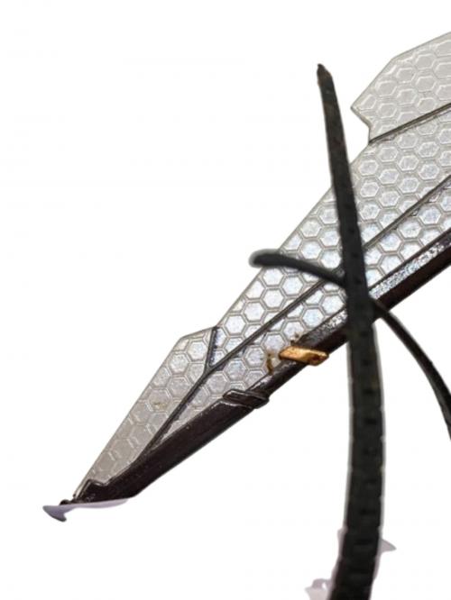 蝸之殻 Snail Shell (スネイルシェル) BEE-04R ARGIDAE GIRL フィギュア
