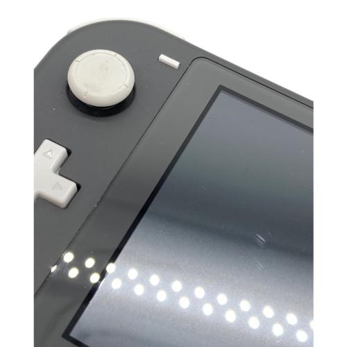 Nintendo (ニンテンドー) Nintendo Switch Lite HDH-001