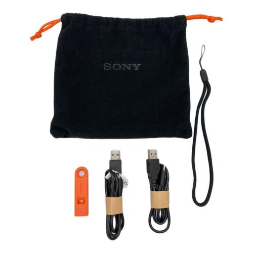 SONY (ソニー) ラジオ ICF-B300