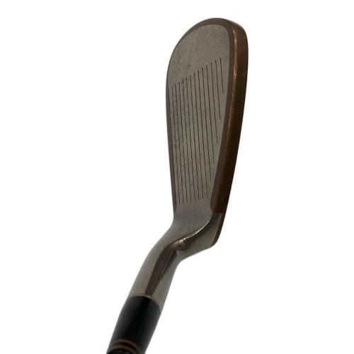 BRIDGESTONE (ブリヂストン) TANBEC TB-3 アイアンセット