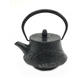 盛栄堂 (セイエイドウ) 急須　南部鉄器