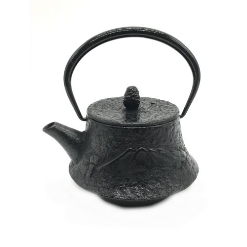 盛栄堂 (セイエイドウ) 急須　南部鉄器