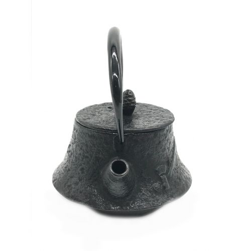 盛栄堂 (セイエイドウ) 急須　南部鉄器
