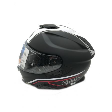 SHOEI (ショーエイ) バイク用フルフェイスヘルメット  GT-AirⅡ PANORAMA 　SIZE XL