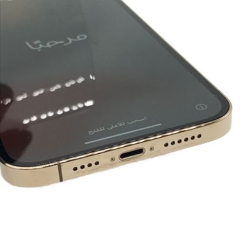 Apple (アップル) iPhone12 Pro Max MGD13J/A SIMフリー 256GB iOS バッテリー:Aランク 程度:Aランク ○ サインアウト確認済 356720112614535